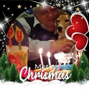 Meet your Posher, Walter